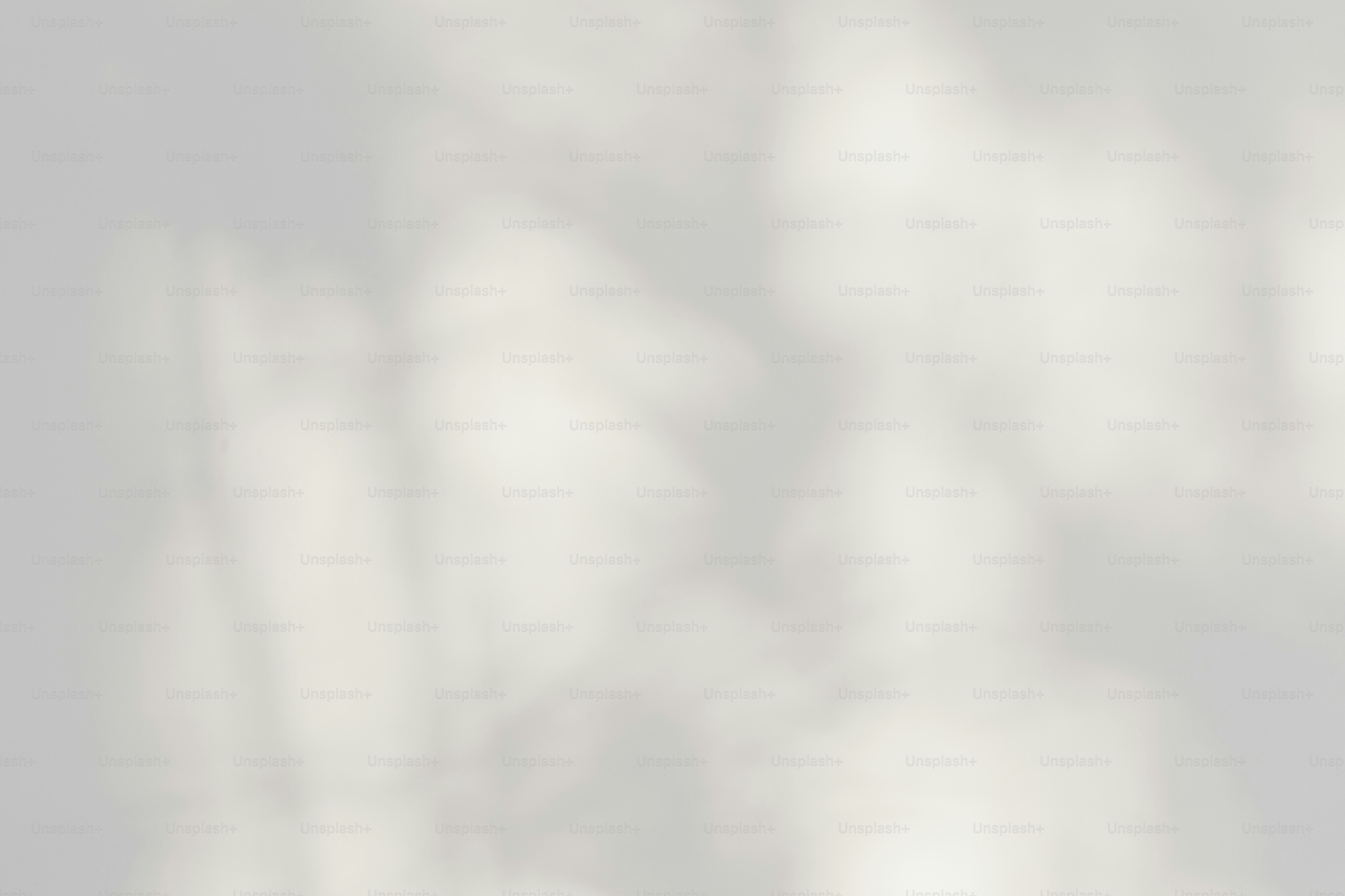 a black and white photo of a bird flying in the sky